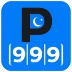 P999 Game